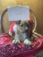 processed/5ef19b72-435c-4a44-8b8b-dcc01e1b027f/listing/30d150e5-a788-4fe4-beed-107d44223576/9b7d5bb7-2269-4b2d-850e-33122261dd29