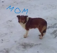 processed/5ef19b72-435c-4a44-8b8b-dcc01e1b027f/listing/aa203244-c683-4121-9ac9-0e3fb49dc357/a11d20f7-67c2-4d62-8853-19584fb8d46f