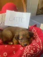 processed/5ef19b72-435c-4a44-8b8b-dcc01e1b027f/listing/aa203244-c683-4121-9ac9-0e3fb49dc357/e02bdbe0-b918-419f-979a-d379b196faca