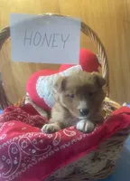 processed/5ef19b72-435c-4a44-8b8b-dcc01e1b027f/listing/b9d15a83-6f24-4bd5-9ed9-1e81d1879637/0e28573a-ae69-4d91-82fb-547f43d8e951