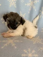 processed/5f00c2ea-c792-4ba8-aed8-f4caf5cef0d8/listing/19cc30b4-7397-423f-a004-3cd685a89e24/039cdca8-ea7b-4e30-959a-ced013f00fbc