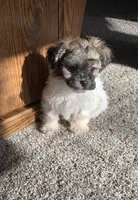 processed/5f00c2ea-c792-4ba8-aed8-f4caf5cef0d8/listing/19cc30b4-7397-423f-a004-3cd685a89e24/fc4daf6e-78c4-4620-bfe6-34bcc7503195