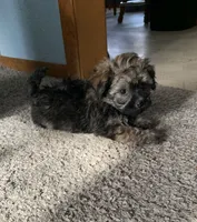 processed/5f00c2ea-c792-4ba8-aed8-f4caf5cef0d8/listing/422a670b-43e1-4c20-a7f5-bb72617d3725/5e30fe46-fea1-40a3-8556-848457da3e34