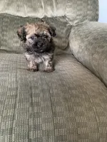 processed/5f00c2ea-c792-4ba8-aed8-f4caf5cef0d8/listing/422a670b-43e1-4c20-a7f5-bb72617d3725/6a5612af-165d-4fff-831b-62fb08ef8046