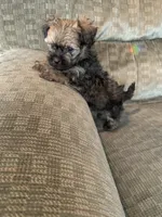 processed/5f00c2ea-c792-4ba8-aed8-f4caf5cef0d8/listing/422a670b-43e1-4c20-a7f5-bb72617d3725/8162f088-adf4-4e4c-a785-31ff8555d410