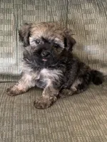 processed/5f00c2ea-c792-4ba8-aed8-f4caf5cef0d8/listing/422a670b-43e1-4c20-a7f5-bb72617d3725/905fbbee-f7ed-461b-9a20-e144a2434240