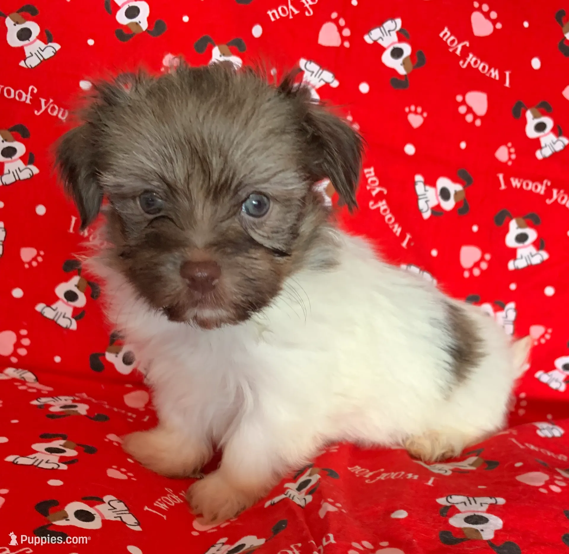 processed/5f00c2ea-c792-4ba8-aed8-f4caf5cef0d8/listing/604ea325-874c-4756-b4c9-5f8420f8ca0a/20b23dec-cfbb-45a4-8b72-6a5665516d56