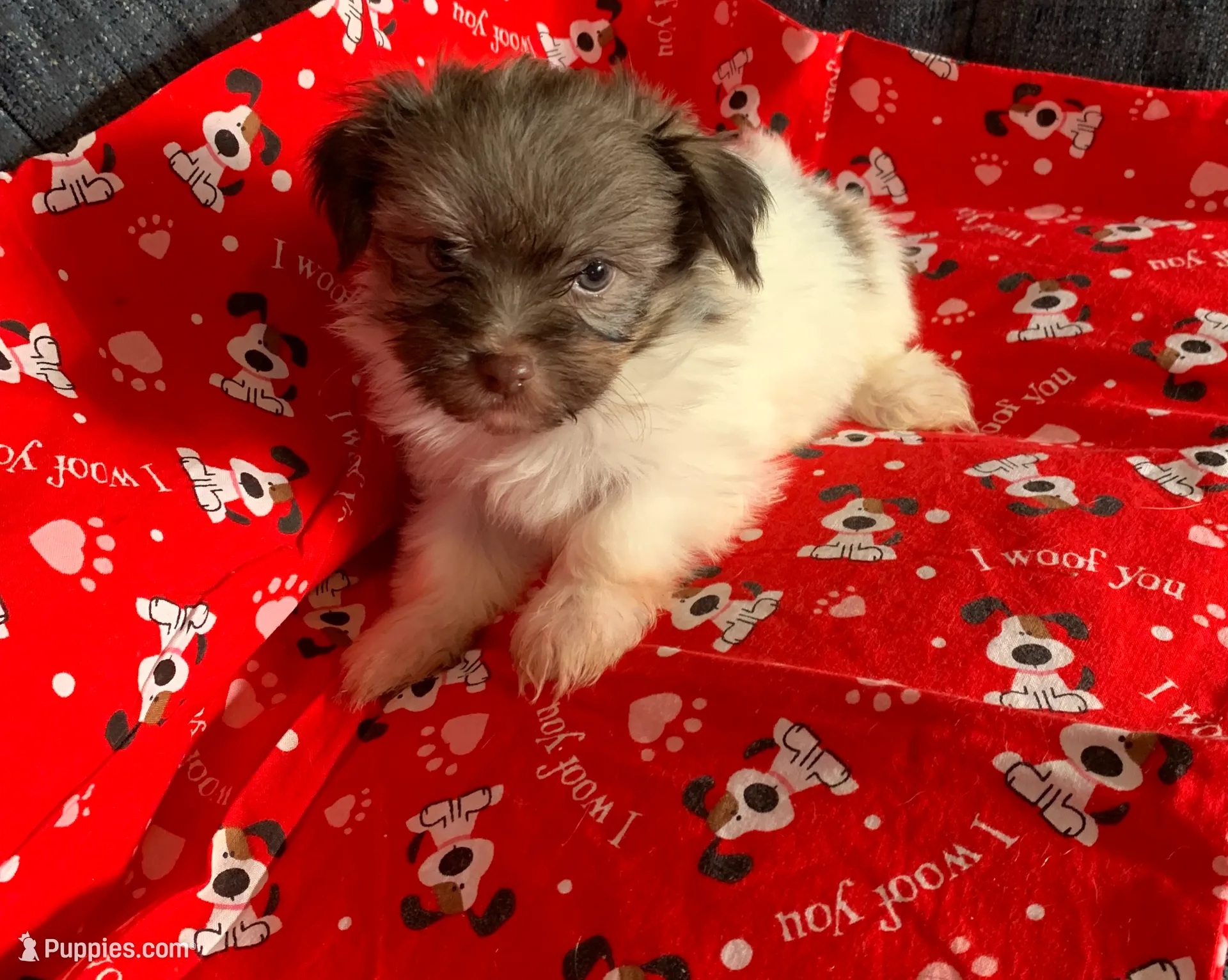 processed/5f00c2ea-c792-4ba8-aed8-f4caf5cef0d8/listing/604ea325-874c-4756-b4c9-5f8420f8ca0a/2d8fdbed-6fc4-45a8-bcf6-eee40d7e0d52