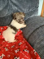 processed/5f00c2ea-c792-4ba8-aed8-f4caf5cef0d8/listing/604ea325-874c-4756-b4c9-5f8420f8ca0a/c43aed99-40e6-49b8-a423-34412e921e88