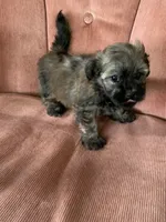 processed/5f00c2ea-c792-4ba8-aed8-f4caf5cef0d8/listing/6c52a845-96c3-485c-8b6c-a91a8b24bc74/62587154-82db-4fc8-9617-5317cf016d5a