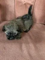 processed/5f00c2ea-c792-4ba8-aed8-f4caf5cef0d8/listing/6c52a845-96c3-485c-8b6c-a91a8b24bc74/9e51ef8d-d554-4c69-8faf-d05aa48014a3