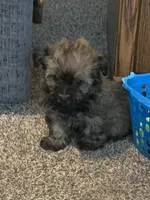 processed/5f00c2ea-c792-4ba8-aed8-f4caf5cef0d8/listing/6c52a845-96c3-485c-8b6c-a91a8b24bc74/b73a871a-81a3-446f-aca7-de1593768e5a