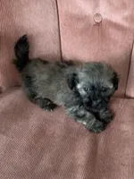 processed/5f00c2ea-c792-4ba8-aed8-f4caf5cef0d8/listing/6c52a845-96c3-485c-8b6c-a91a8b24bc74/eacad9c5-6b4c-4078-a6c0-3b3efc9a40ad