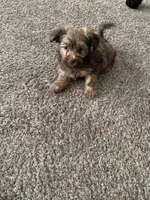 processed/5f00c2ea-c792-4ba8-aed8-f4caf5cef0d8/listing/a456b704-42ce-4a7b-99e4-70fd22002d9f/4e3ddfaf-3d24-419a-84f0-a3317020cd3e