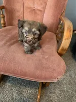 processed/5f00c2ea-c792-4ba8-aed8-f4caf5cef0d8/listing/a456b704-42ce-4a7b-99e4-70fd22002d9f/58a5e202-fa40-4631-8065-190207a72c11