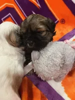 processed/5f07265e-e3d7-478e-a3b3-5ea289044707/facility/19845c77-5b5e-4512-a4b1-446a5c4b39d3