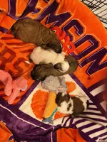 processed/5f07265e-e3d7-478e-a3b3-5ea289044707/facility/5918881d-c3bf-4616-aad9-254b6945f06b