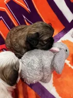 processed/5f07265e-e3d7-478e-a3b3-5ea289044707/facility/caede7be-1bca-4a9d-8fd1-6baf1efad347