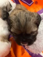 processed/5f07265e-e3d7-478e-a3b3-5ea289044707/facility/d1e47a1b-83f5-44ae-8a6e-c56d55c97271