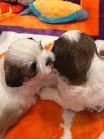 processed/5f07265e-e3d7-478e-a3b3-5ea289044707/facility/fbcbc3cb-8786-4b74-94ba-1e1932b103f7