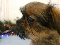 processed/5f093708-644d-4342-8af8-a950da8cfb24/listing/c8e8913e-0ec9-4a5c-b8fc-f74e6d84c120/041a549f-e34e-4d74-a6f0-7e29de8a328a