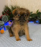 processed/5f093708-644d-4342-8af8-a950da8cfb24/listing/c8e8913e-0ec9-4a5c-b8fc-f74e6d84c120/28428647-4356-4d49-9bdd-497346b6ed86