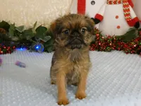 processed/5f093708-644d-4342-8af8-a950da8cfb24/listing/c8e8913e-0ec9-4a5c-b8fc-f74e6d84c120/78ac1541-62aa-4308-b201-3b3f0d319531