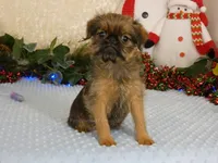 processed/5f093708-644d-4342-8af8-a950da8cfb24/listing/c8e8913e-0ec9-4a5c-b8fc-f74e6d84c120/bd4fb2b7-538f-451d-ae24-4a156ebe525a