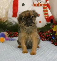 processed/5f093708-644d-4342-8af8-a950da8cfb24/listing/c8e8913e-0ec9-4a5c-b8fc-f74e6d84c120/f6d19548-7916-469d-8d56-93275724974e