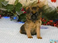 processed/5f093708-644d-4342-8af8-a950da8cfb24/listing/e23dda4d-77af-4e2b-902c-896d5bfdb4ba/6cfa6eb9-35b6-4bf4-b4fe-f64167e69b87