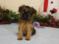 processed/5f093708-644d-4342-8af8-a950da8cfb24/listing/e23dda4d-77af-4e2b-902c-896d5bfdb4ba/75478f73-f0b5-406c-8ce1-5f99116b55f7