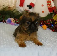 processed/5f093708-644d-4342-8af8-a950da8cfb24/listing/e23dda4d-77af-4e2b-902c-896d5bfdb4ba/7c517319-8aca-4223-b079-6eee242d639d