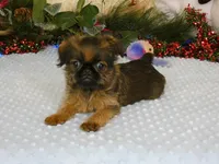 processed/5f093708-644d-4342-8af8-a950da8cfb24/listing/e23dda4d-77af-4e2b-902c-896d5bfdb4ba/bd3881f8-930c-44ea-8e88-0c5e3cd68414