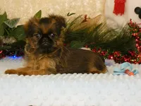 processed/5f093708-644d-4342-8af8-a950da8cfb24/listing/e23dda4d-77af-4e2b-902c-896d5bfdb4ba/f6ddfad9-71df-4c43-a310-408e7a84a400