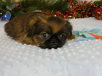 processed/5f093708-644d-4342-8af8-a950da8cfb24/listing/e23dda4d-77af-4e2b-902c-896d5bfdb4ba/fa48ddc8-29af-48ea-ac92-e01a469a44d9