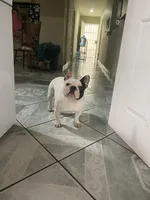 processed/5f1036ee-a68e-4ba9-87a1-1684822546ad/facility/144480da-29b3-4770-a741-bacc65623eb6