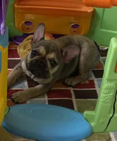 processed/5f1036ee-a68e-4ba9-87a1-1684822546ad/facility/1901222a-9e29-41fd-b540-815937c510b5