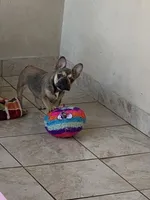 processed/5f1036ee-a68e-4ba9-87a1-1684822546ad/facility/798cd724-c953-49e5-a137-035151c09149