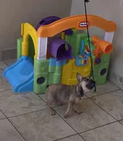 processed/5f1036ee-a68e-4ba9-87a1-1684822546ad/facility/7c4e11e0-1db5-4182-af06-b10c5cc408ac