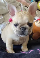 processed/5f1036ee-a68e-4ba9-87a1-1684822546ad/facility/98678aa1-5be0-4033-b7c2-cf01cba9e938