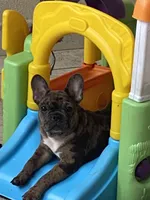 processed/5f1036ee-a68e-4ba9-87a1-1684822546ad/facility/a1dd7e42-4451-46b2-bb01-824a2a32ac54