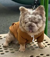 processed/5f1036ee-a68e-4ba9-87a1-1684822546ad/facility/b385d6cc-d1f3-4601-9587-c29d194b77d8