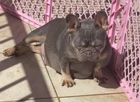 processed/5f1036ee-a68e-4ba9-87a1-1684822546ad/facility/deaec4ac-e674-4e00-b9be-72f8533c1748