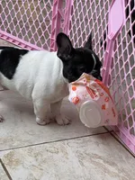 processed/5f1036ee-a68e-4ba9-87a1-1684822546ad/facility/ecc4e67d-a512-4957-8142-b411ab953134