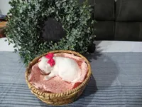 AKC Luna, a female Maltese for sale in Odon, IN – Photo 8 of 10