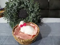 AKC Luna, a female Maltese for sale in Odon, IN – Photo 10 of 10