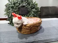 AKC Lucy , a female Maltese for sale in Odon, IN – Photo 6 of 9