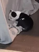 processed/5f2ceec0-9254-4745-aa84-fe1943df1430/facility/15c699cd-6013-4680-bb31-195596d0045f