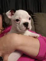 processed/5f2ceec0-9254-4745-aa84-fe1943df1430/facility/26783622-cffa-46aa-bad6-8370c019940d