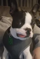 processed/5f2ceec0-9254-4745-aa84-fe1943df1430/facility/4b76650d-9661-42f2-a733-d19a4c2f946e